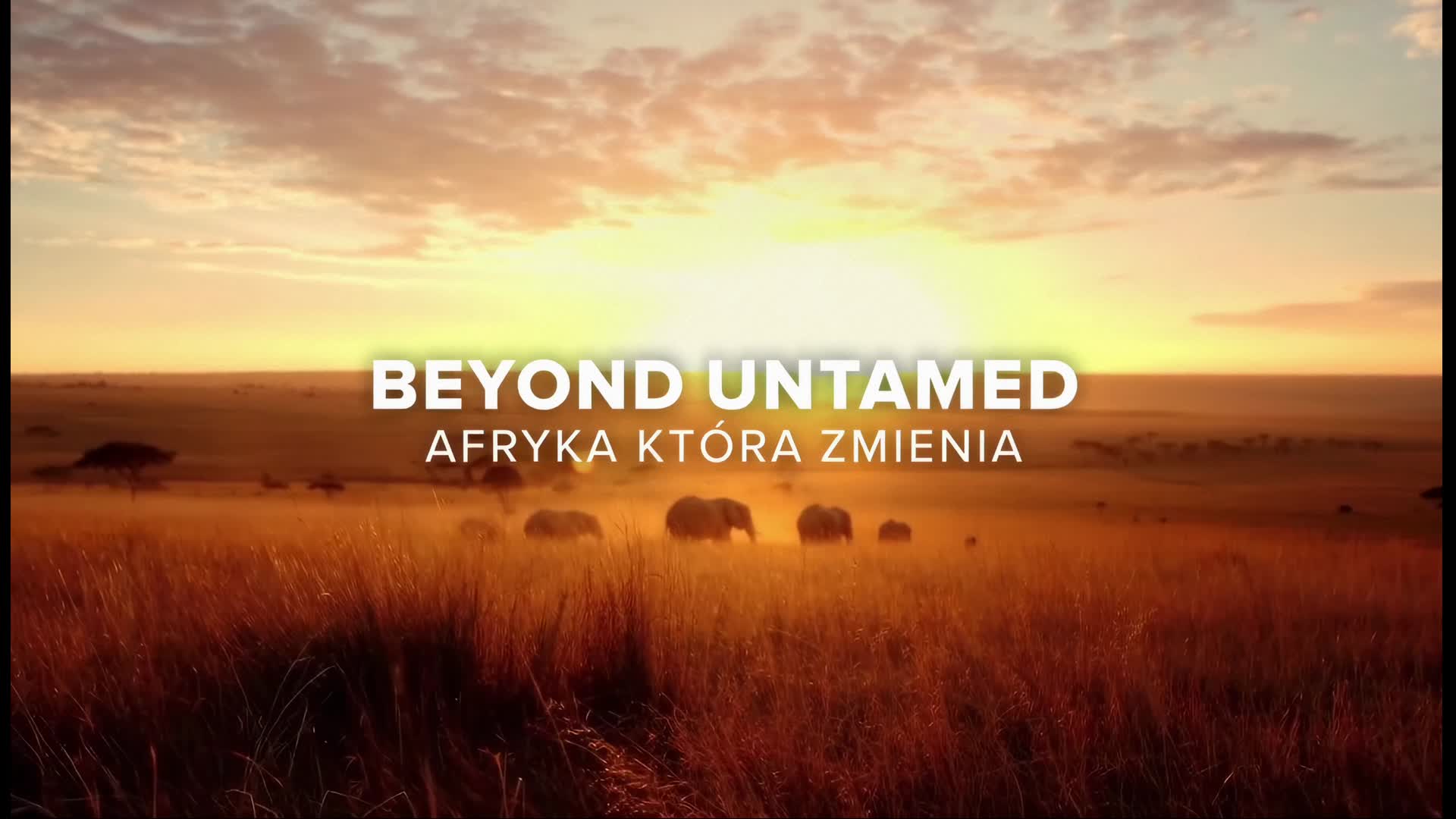 Beyond Untamed